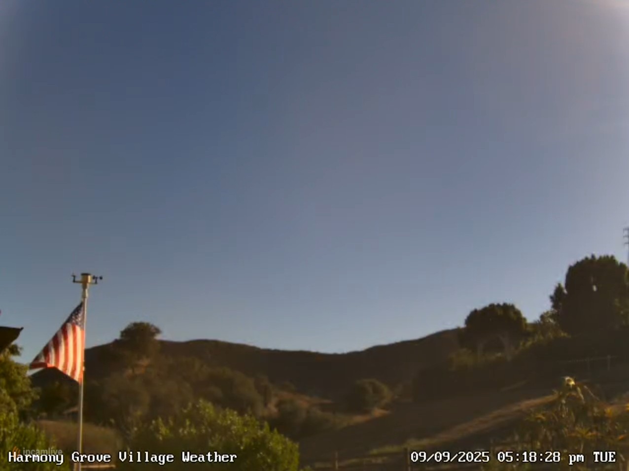 ip cam live